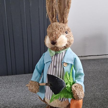ベルファストAunt Mary'Sアパートメント エクステリア 写真